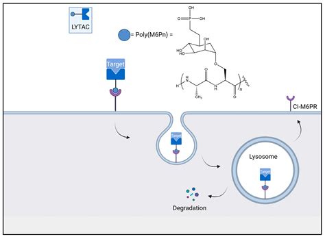 Biomolecules Free Full Text Central Nervous System Targeted Protein