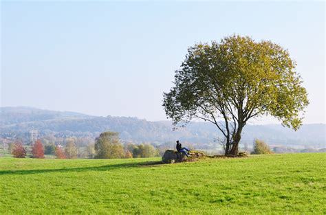 Fotos gratis paisaje árbol naturaleza césped planta cielo campo