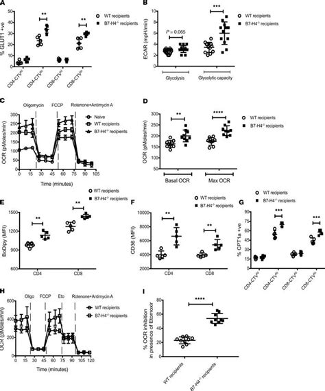 Jci Insight Donor And Host B7 H4 Expression Negatively Regulates Acute Graft Versus Host