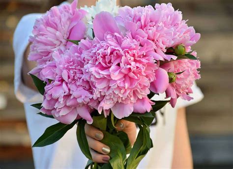 Descubra Kuva Bouquet Pivoine Et Rose Blanche Thptnganamst Edu Vn