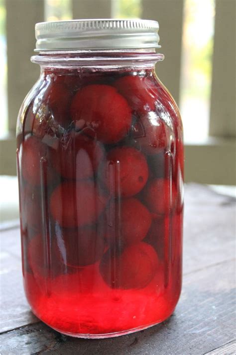 Canned Plums Canned Plums Plum Recipes Canning Plums