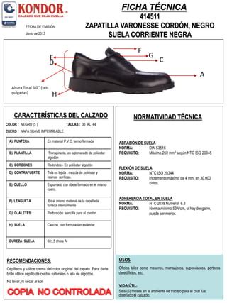 Calzado De Seguridad PDF