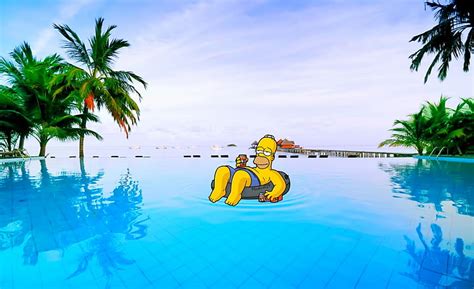 Hd Wallpaper Homer Summer Homer Simpson Cartoons The Simpsons