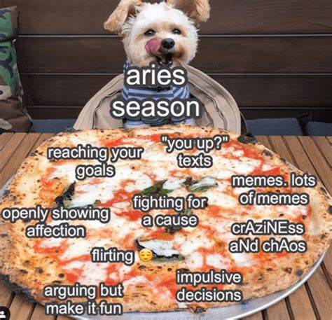 50 Best Aries Memes That Describe This Zodiac Sign Yourtango Aries