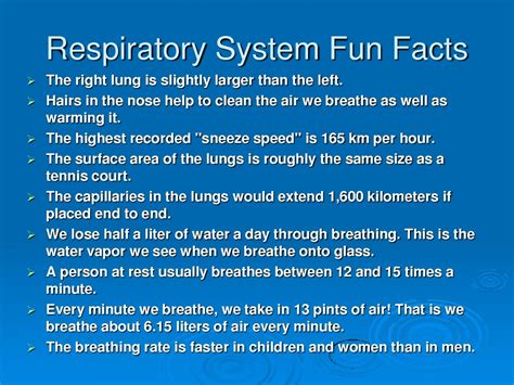 Lung Health How To Keep Your Lungs Healthy And Breathe Easy Your Med Guide