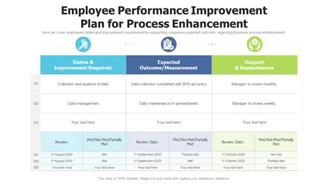 Business Process Improvement Plan Template – PARAHYENA