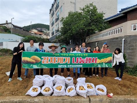 대천2동 주민자치위원회 『감자 캐기』 나눔 행사 펼쳐 보령시장신문