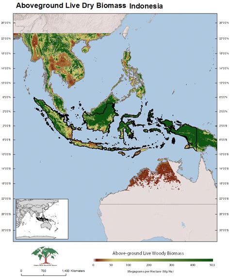 Indonesian Rainforest Map