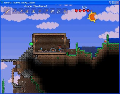 terraria  video games