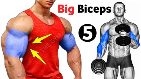 5 Fastest Big Bicep Workout At Gym Biceps Workout Biceps Workout