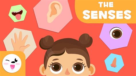 The Five Senses for Kids - Preschool Education - Gameriz - Gaming News ...