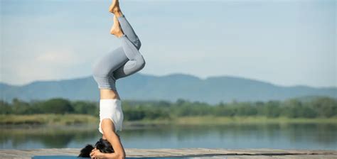 Benefits Of Yoga In Everyday Life Rishikesh Yog Nirvana Blog