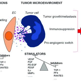 Representative Scheme Of The Supporting Role Of Platelets In Tumor