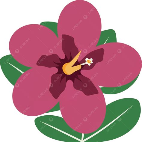 Ilustração De Flores Em Vetor Adenium Obesum PNG Ilustração De Flores