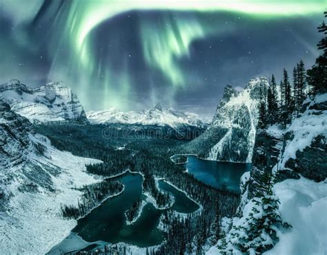 Aurora Borealis Over Opabin Plateau Famous Place with Canadian Rockies ...