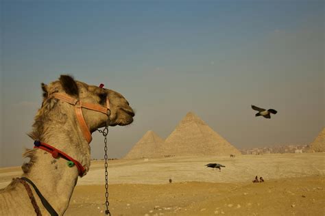 Visit Egypt | The New Republic