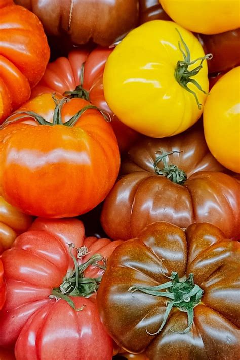 How To Ripen Tomatoes Off The Vine With Success