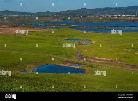 Pastoral Scene Of Green Fields In Fairfield California Open Space On