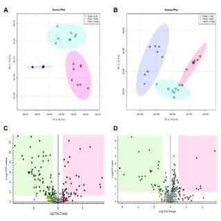 Principal Component Analysis And Volcano Plots Of Detected Metabolites