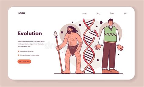 Human Evolution Stages Evolutionary Development From Primate Stock Vector Illustration Of