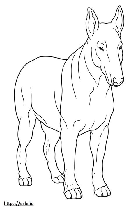 Bull Terrier Friendly Coloring Page