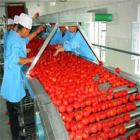 Three Phase Tomato Ketchup Plant At Rs Piece Tomato Ketchup