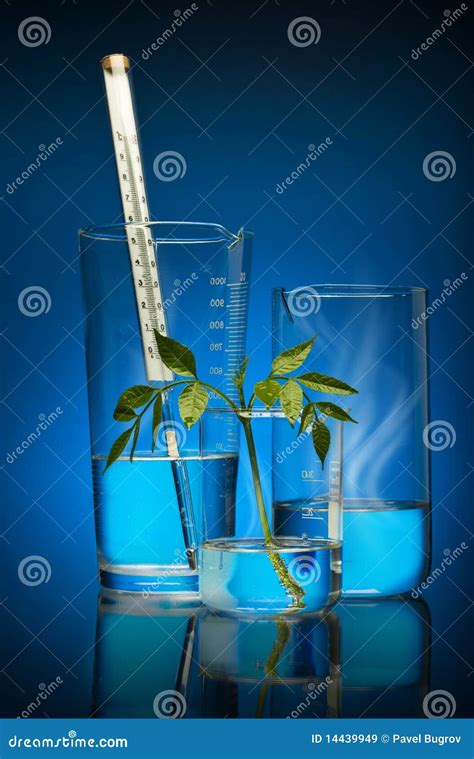 Chemistry And Life Stock Image Image Of Examining Medicine 14439949