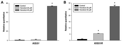 Honokiol Suppresses Metastasis Of Renal Cell Carcinoma By Targeting