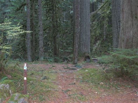Camp Creek Campground Mount Hood Oregon