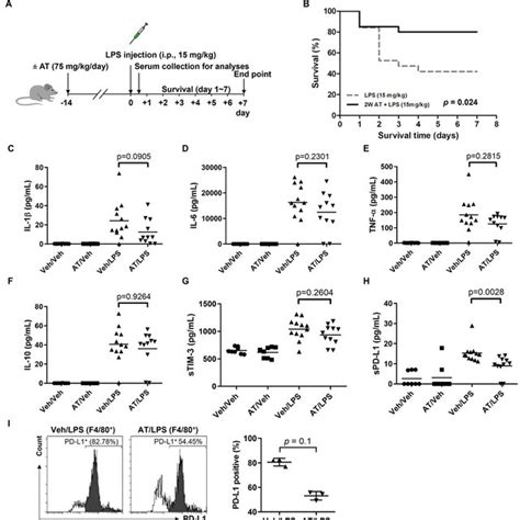 Effects Of Atenolol Treatment On Lps Induced Septic Mice A Schematic