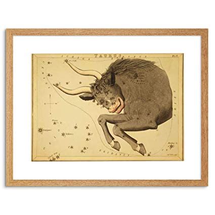 Taurus Bull Drawing At PaintingValley Explore Collection Of