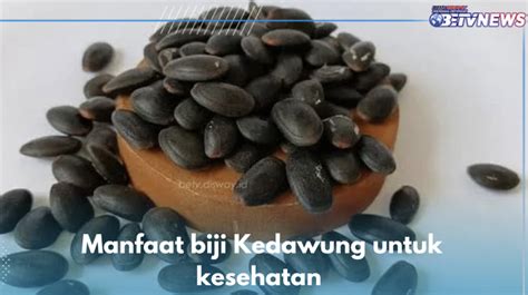 Herbal Mujarab Obati Diare Ini 7 Manfaat Biji Kedawung Untuk Kesehatan