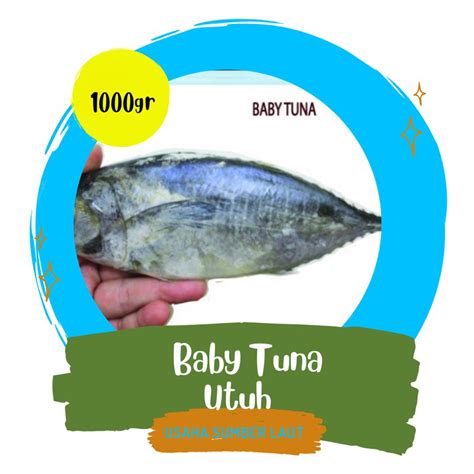 Jual Jual Ikan Baby Tuna Frozen Utuh Kg Ikan Baby Tuna Beku Frozen