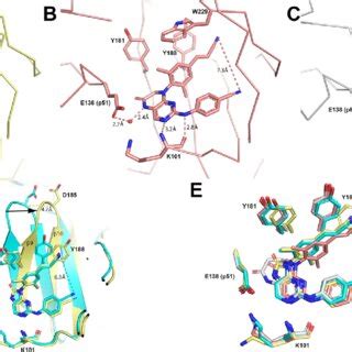 Co Crystal Structure Of HIV 1 Reverse Transcriptase RT With A 2