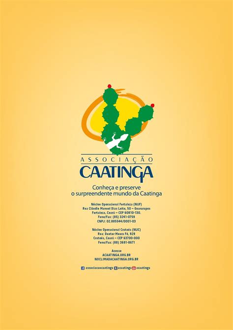 Portfolio De Apresenta O Da Associa O Caatinga By Associa O Caatinga