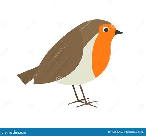 Cute Robin Bird Stock Vector Illustration Of Wildlife 165549953