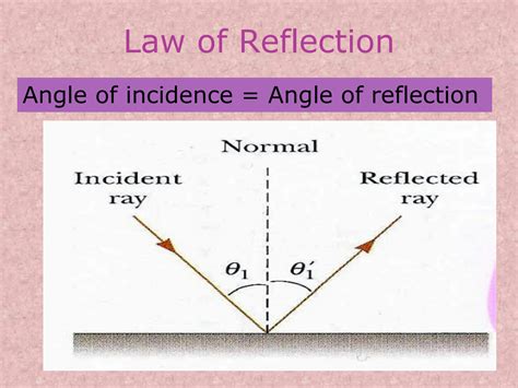 Solution Reflection And Refraction Studypool