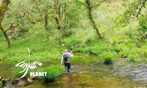 Escuela De Pesca A Mosca Cursos De Tenkara En Galicia