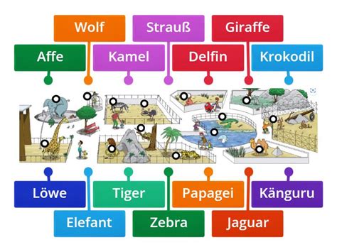 Tiere Labelled Diagram