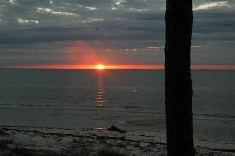 Alligator Point Beach in Alligator Point, FL (2020 Photos, Reviews ...