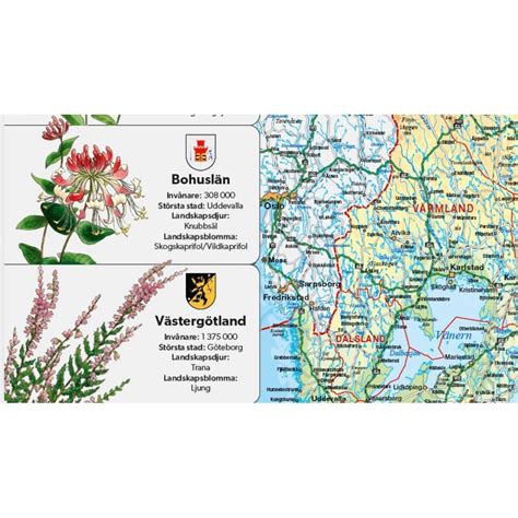 Köp Sveriges Landskap med landskapsblommor 50x70 med snabb leverans