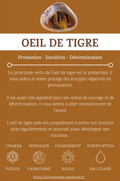 Oeil De Tigre Vertus Bienfaits Et Propri T S Lithotherapie Oeil