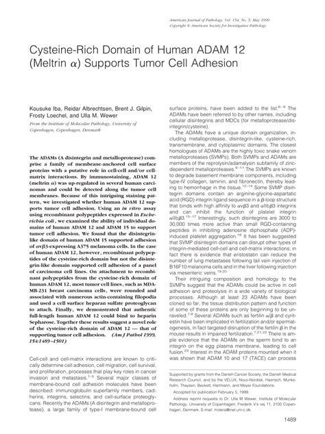 PDF Cysteine Rich Domain Of Human ADAM 12 Meltrin Alpha Supports