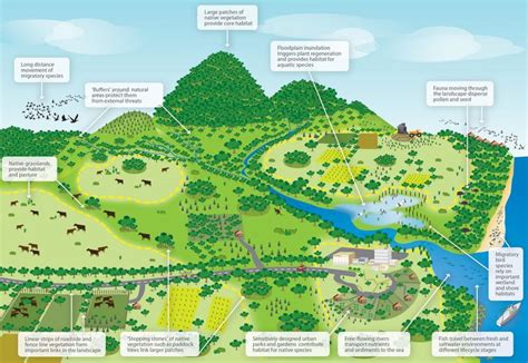 National Wildlife Corridors Plan Home Page Wildlife Farm Layout