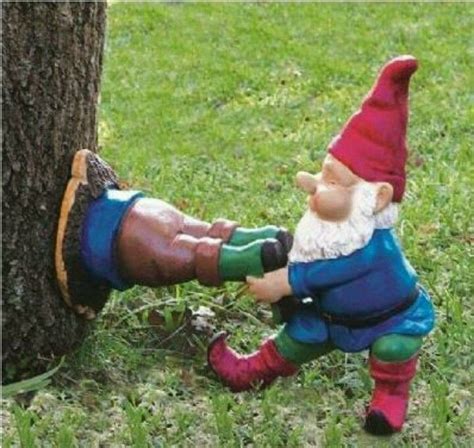 So Cute Yard Gnomes Funny Garden Gnomes Funny Gnomes Gnome Garden