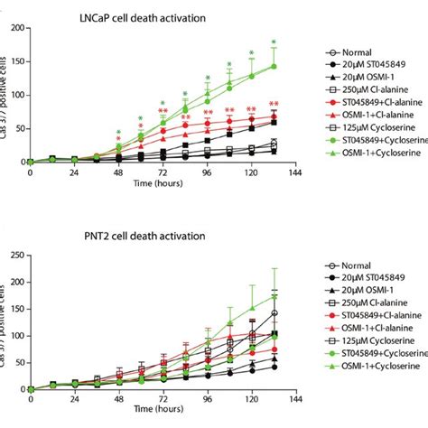 Viability Of Cells After Combinatorial Treatment With O GlcNAc