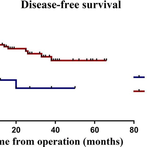 Disease Free Su Survival Of 73 Patients With Or Without Pathological Lpnm Download Scientific