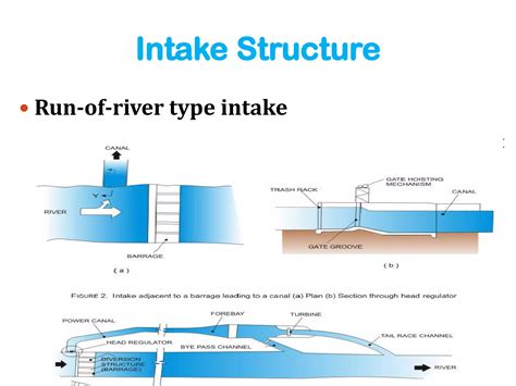 Elements Of Water Conductor System Ppt