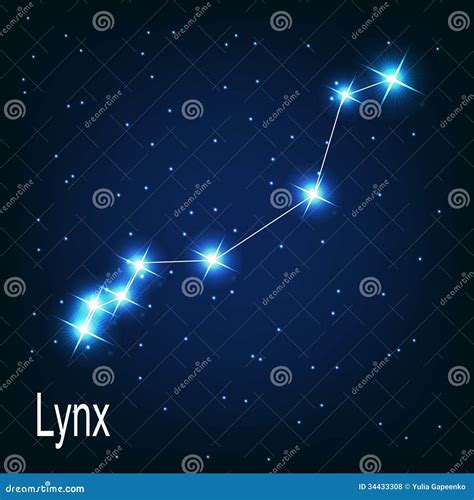 Lynx Constellation Map Royalty-Free Stock Image | CartoonDealer.com ...