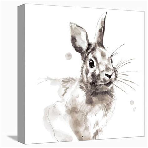 Rabbit Stretched Canvas Print Philippe Debongnie